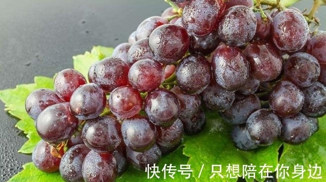 趣味冷知识分享（五十二）一起涨知识吧！
