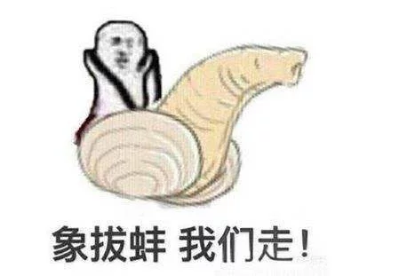 皮皮虾什么梗