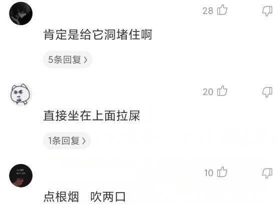 胖子|“我在山上,怎么让它感受下社会险恶”人为啥就偏爱作死呢……