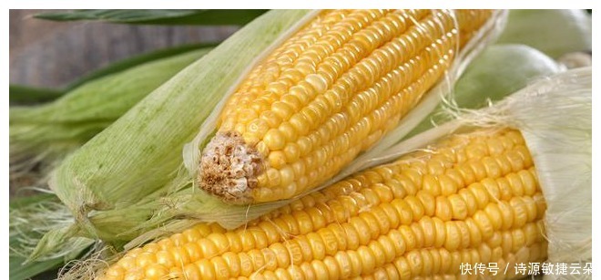 玉米汁|难怪饭店的玉米汁那么好喝,原来诀窍在这里,学会自己在家就能做!