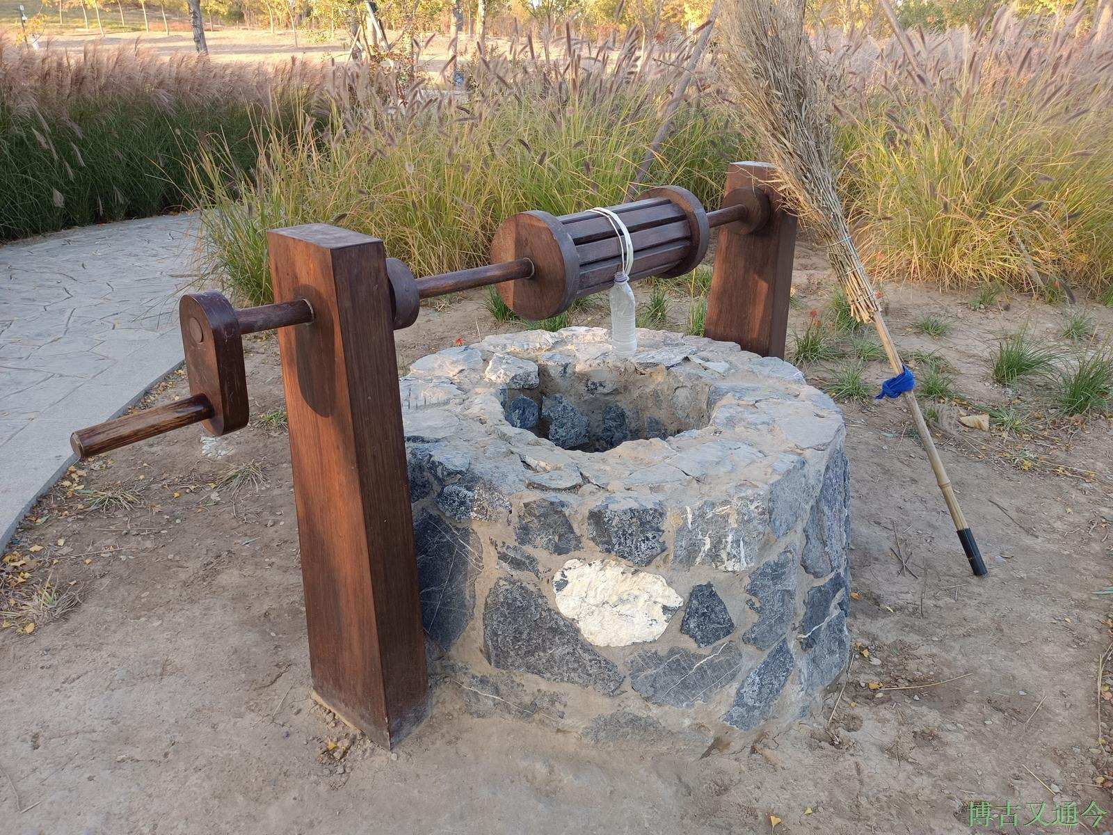 老年|温榆河公园示范区东园,园内的金色光芒撒在大地上