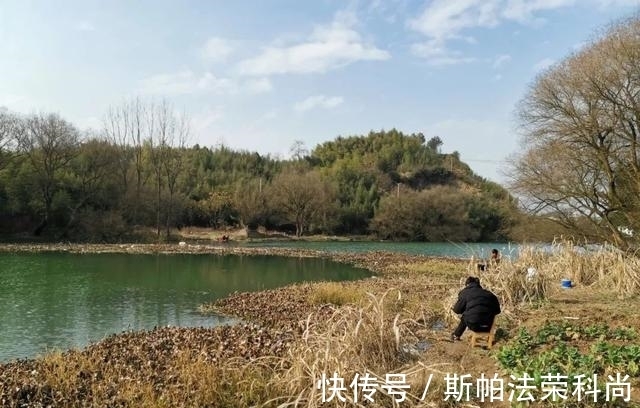 小鲫鱼连杆钓,大鲫鱼不见影?找到原因对症下药才能钓过瘾