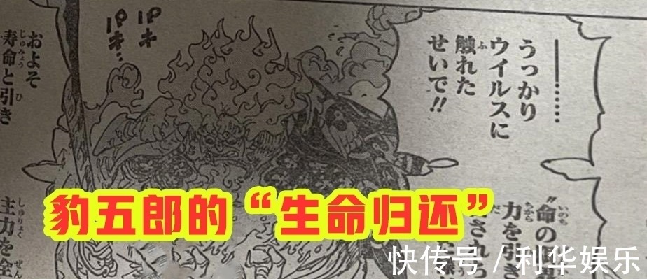 海贼王|海贼王1006话：小马哥被烬斩落翅膀，豹五郎释放“生命归还”