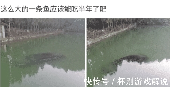 吸引力|“什么东西是设计给小孩,但对成年人吸引力更高?”