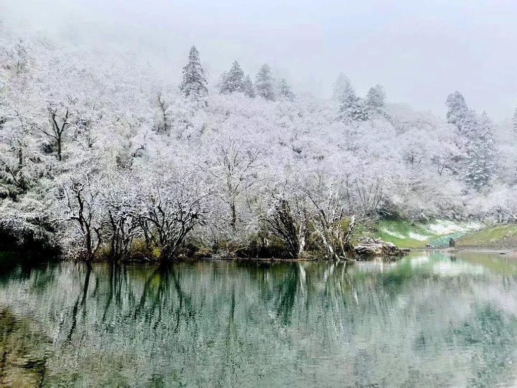 地方|汶川下雪了！这些地方，你最想去哪个？