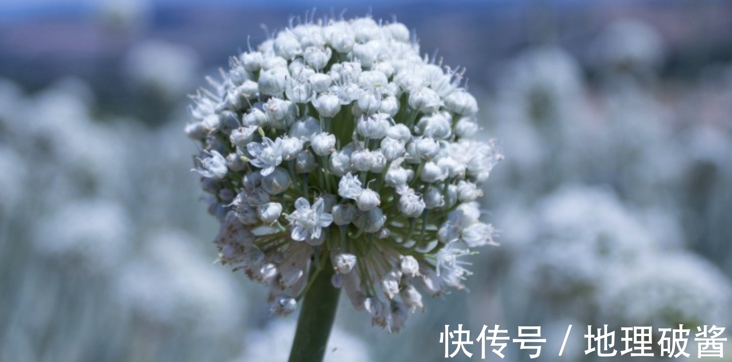 良缘|11月,再度牵手,有始有终,3生肖爱得及时,真情犹在,回首良缘