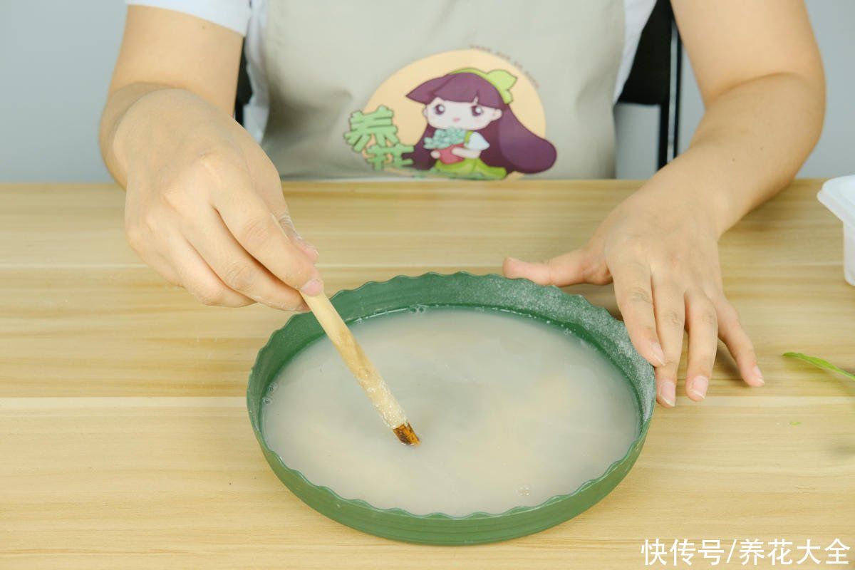 多菌灵不会用，就算春天买再多花，最后可能也死翘翘