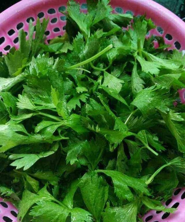 它是“天然胰岛素”,糖尿病人要多吃,每周吃