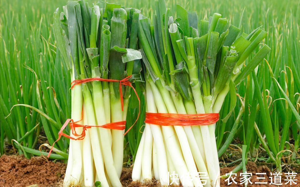 买回来的大葱,别随便放在地上,教你保存技巧,放半年都很新鲜