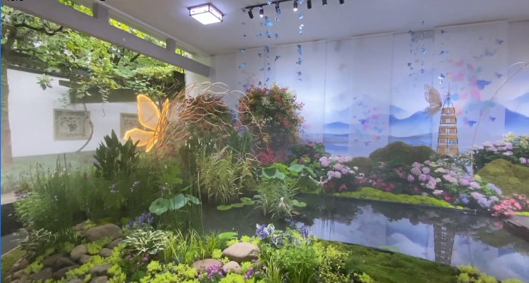 植物园|端午赏花去！10万盆鲜花绽放植物园