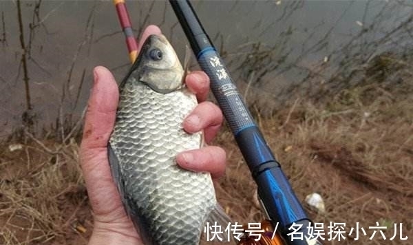 仲秋钓鲫鱼,会用这两种钓法,中钩的鱼,不仅个头大,数量还不少