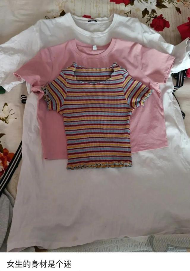 |神评段子合集:照片上有个熊猫就算了,居然还有个上发条的