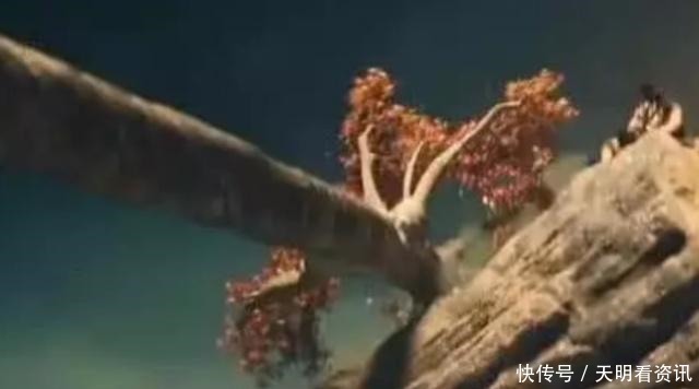 熊出没|熊出没光头强唯一一次成功砍树,熊二不但不阻止,还主动帮他砍