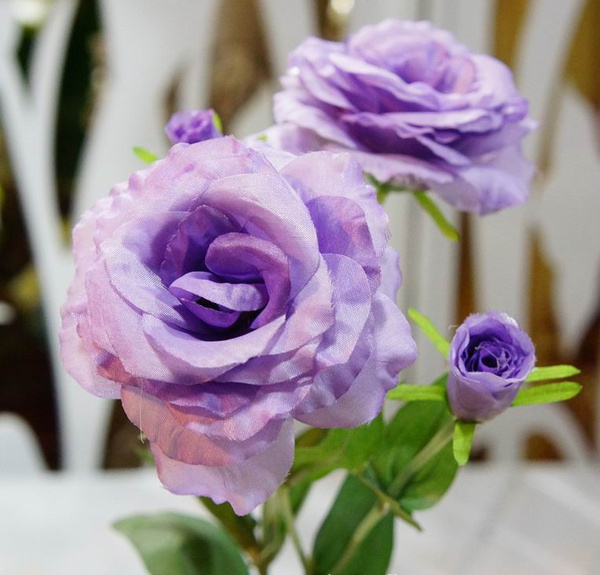 生活小贴士,这些花不仅是观赏的花卉,还可以作为捧花