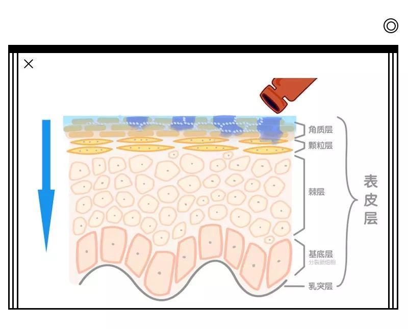 角质层|夏日护肤，如何保持肌肤水感？瑞可娜告诉你！