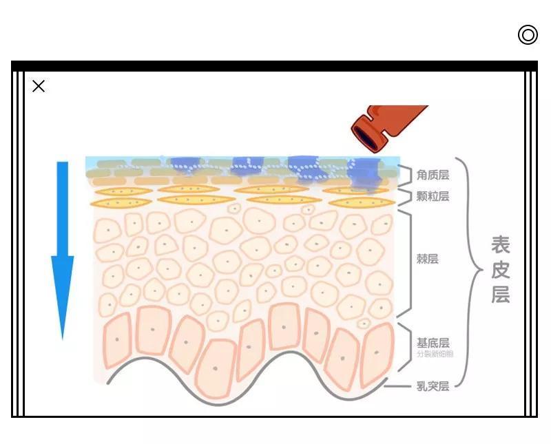 角质层|夏日护肤,如何保持肌肤水感?瑞可娜告诉你!