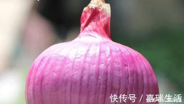 苦荞黄酮|生活中常被忽略的天然“胰岛素”,每天吃一点,平稳血糖还你健康