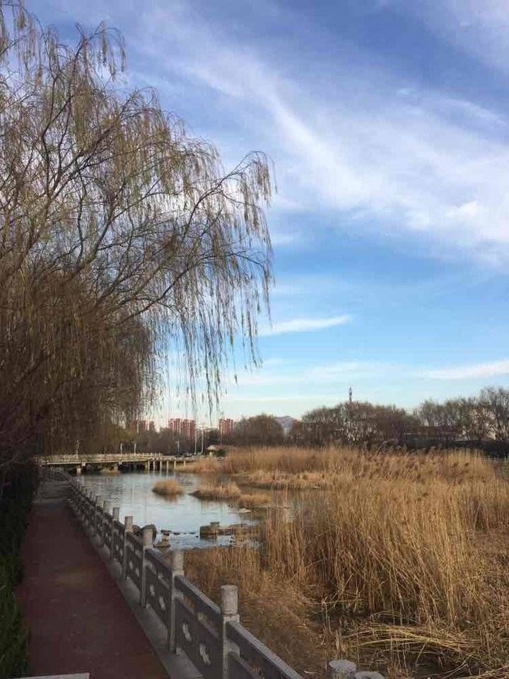 红日！大雪节气艳阳天