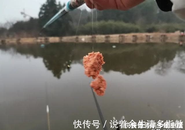 渔具|别拿野钓装备去玩黑坑,新手入坑须知:先得把这些渔具买齐了