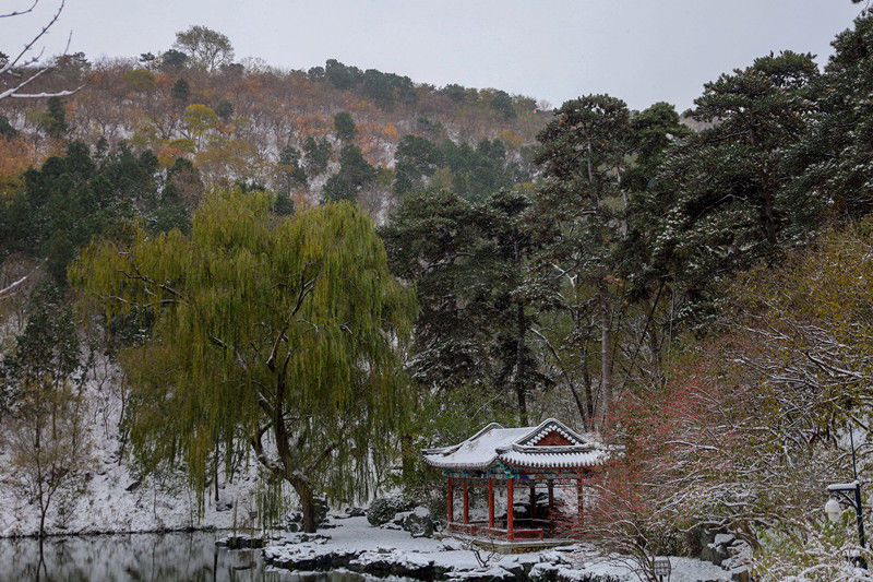 北京青年|时隔12年！香山再现“雪缀红叶”美景