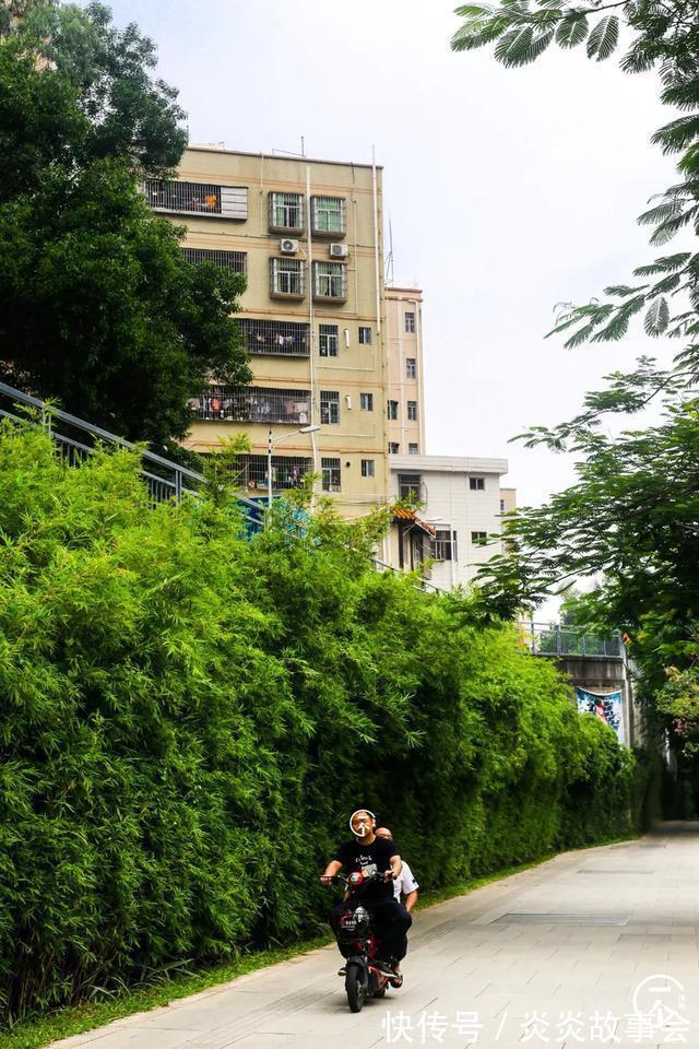 坂田北|遍地华为男，深圳坂田有多绝