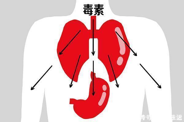 矿泉水|那些不喝矿泉水和桶装水,每天只用烧水壶烧水喝的人,怎么样了?