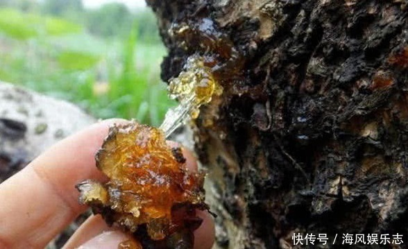 排毒|女性来“例假”，4大零食敞开吃，排血排毒，体重“嗖嗖”降