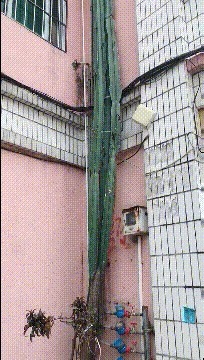 |搞笑GIF: 看着都觉得尴尬 下次就别在这种场合秀身材了