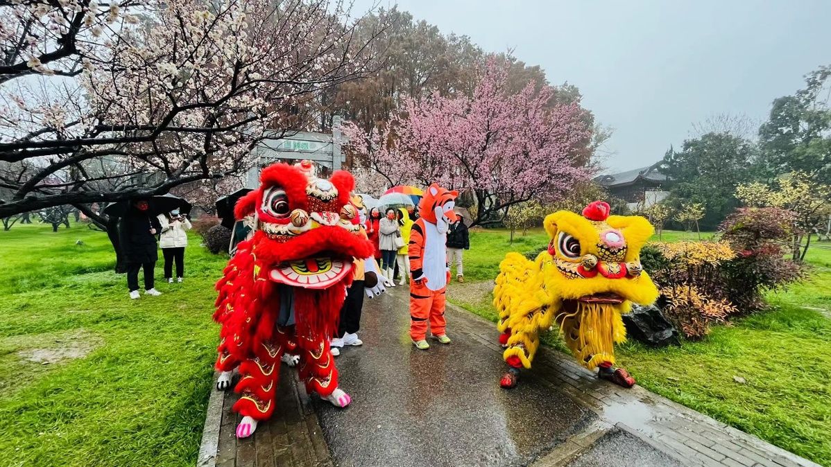 东湖梅园|春节赏花，从东湖梅园开始