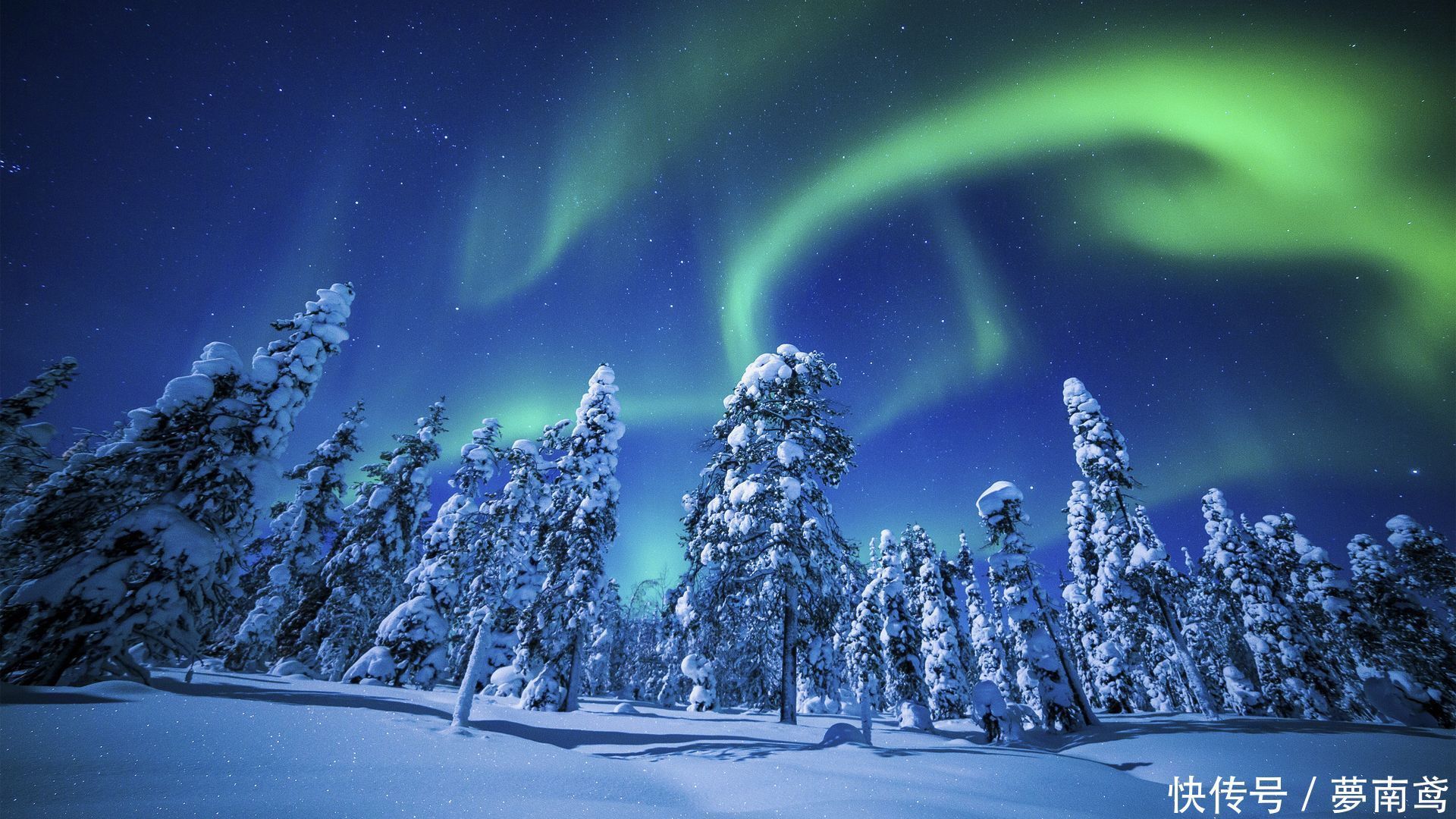 脱颖而出|亚马逊测评为什么在众多电商中脱颖而出,有什么得天独厚的条件