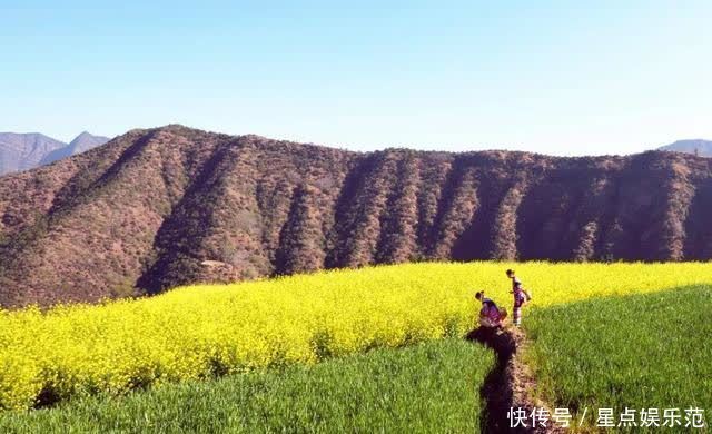 人间|油菜花漫舞在云南大姚紫丘山麻街村的山岗