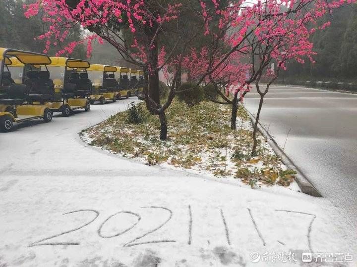 跑马岭|济南跑马岭景区雪景大片来啦