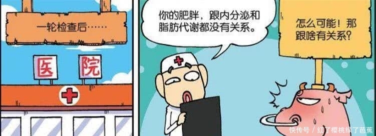 呆头农场：么么减不了肥到底为啥？医生：可能和你的骨头有关