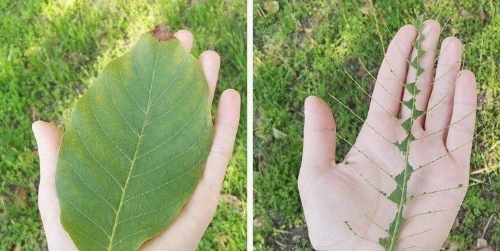 童年|16个你以前“一定做过”的蠢事,硬把磁铁吸起来就是童年