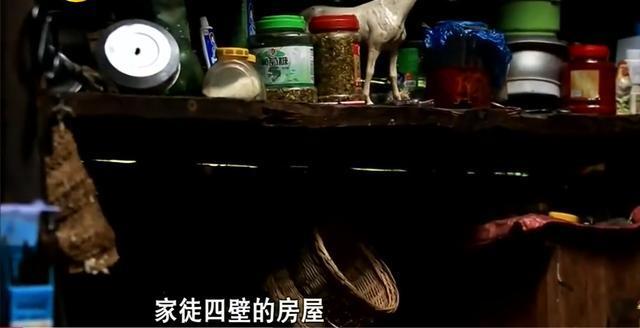 浓妆|《变形计》“神仙妹妹”梁小友高二辍学后成网红，浓妆直播惹众议