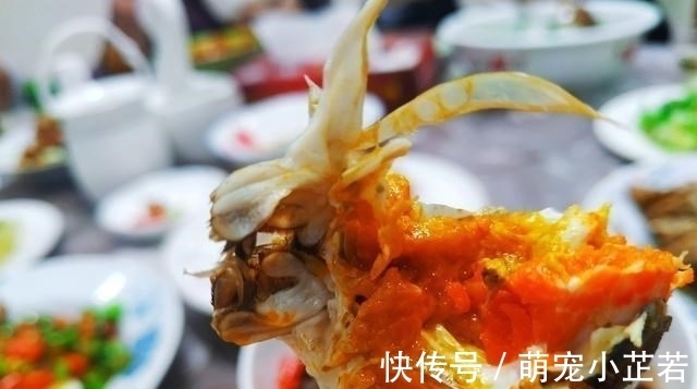 蒸出来的螃蟹没有蟹黄?40年大厨:除了螃蟹放反,还有这3个原因