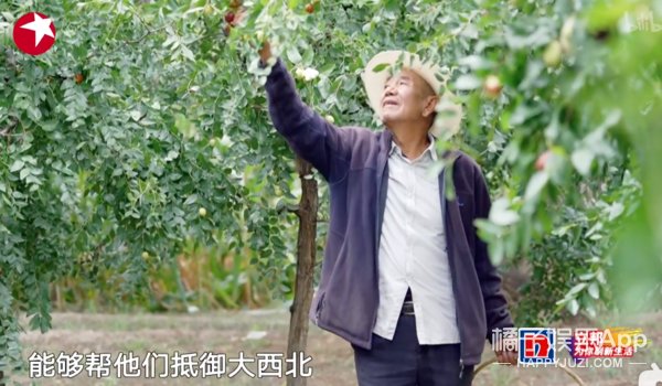 一夜之间，就被全网喊要求退钱？