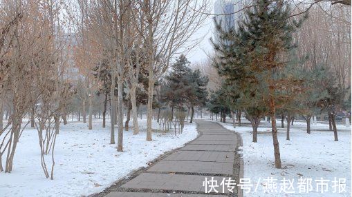 柏林公园|雪后的石家庄柏林公园景色有多美，大家一起来看看吧