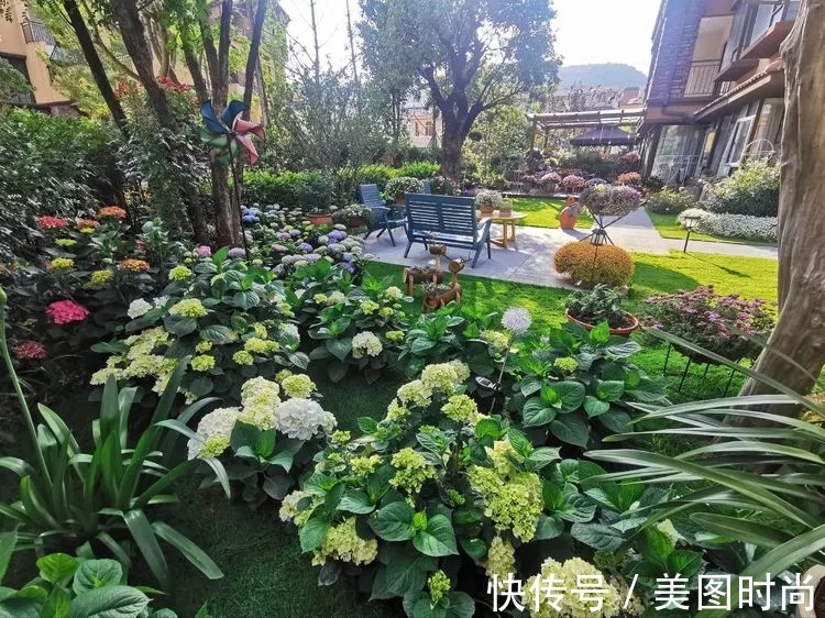 下午茶|一楼430㎡大院子，用1年半建成花园，网友：你这是建了个公园吧？