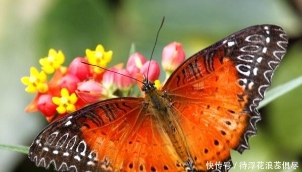 福气|“消福容易,攒福难”,有3个“坏习惯”,往往会消耗福气