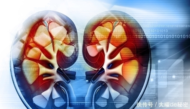 糖尿病肾病|尿毒症和肾功能衰竭跟糖尿病有什么关系?留意这4大症状