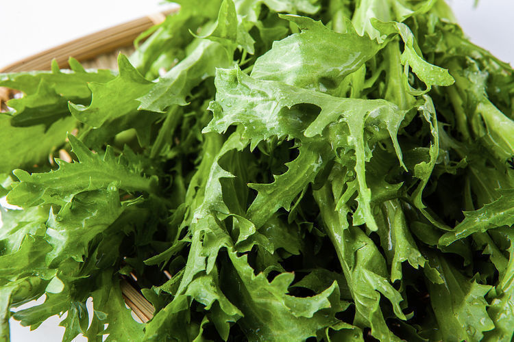 消化液|对身体很不错的3种食物,美容养生、延缓衰老,爱吃就赚了