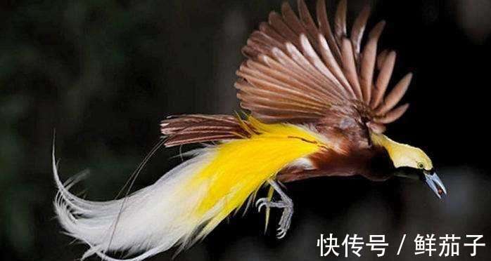 若兮！一个状元，一个宫女，一次相遇：一场流传千古的浪漫佳话