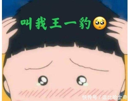 不懂就问,这满屏幕的豹,是王一博对其他塑的怨念实体化吗?