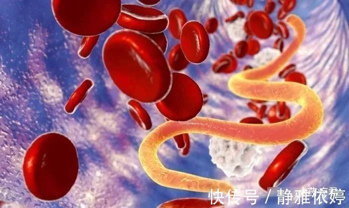 蛔虫|宝宝肚里有“蛔虫出没”时,身体会有哪些表现?一文给你说清楚