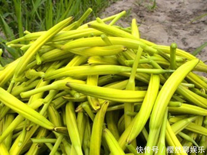 蔬菜|女人坐月子期间吃哪些蔬菜比较好,补气补血、美容养颜