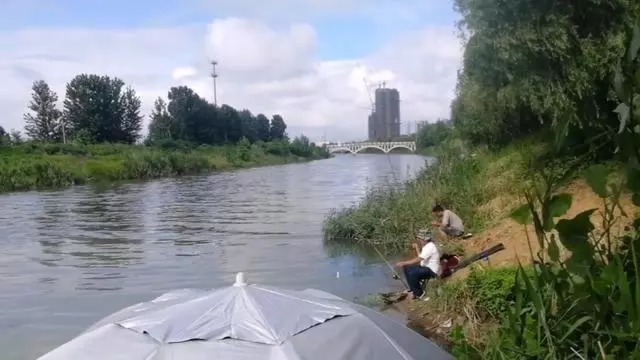 大爷用蚯蚓钓鱼二十年的配方,每次都收获满满,原来秘密在这