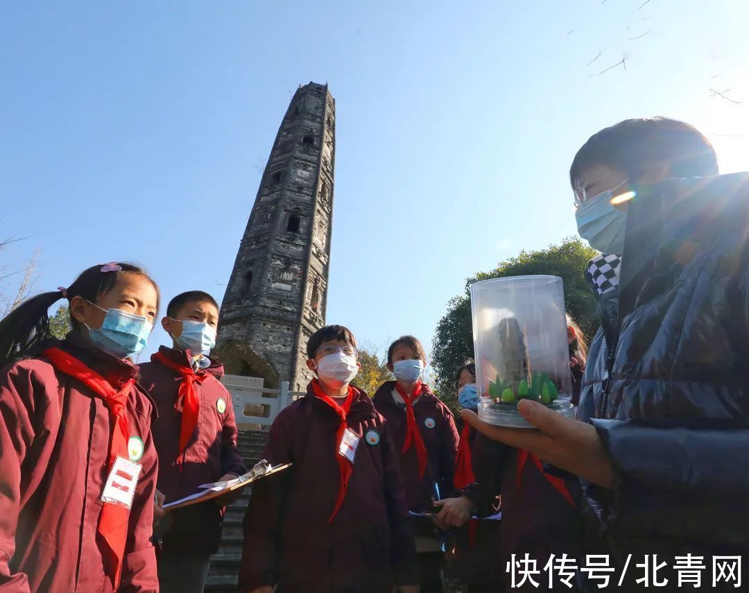 上海斜塔|比萨斜塔没它斜！保护“上海斜塔”，这群小学生的点子亮了→