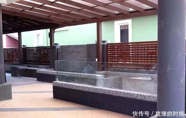 鱼缸和池还可以这样结合?只能说很有想法,有钱我也搞一个!