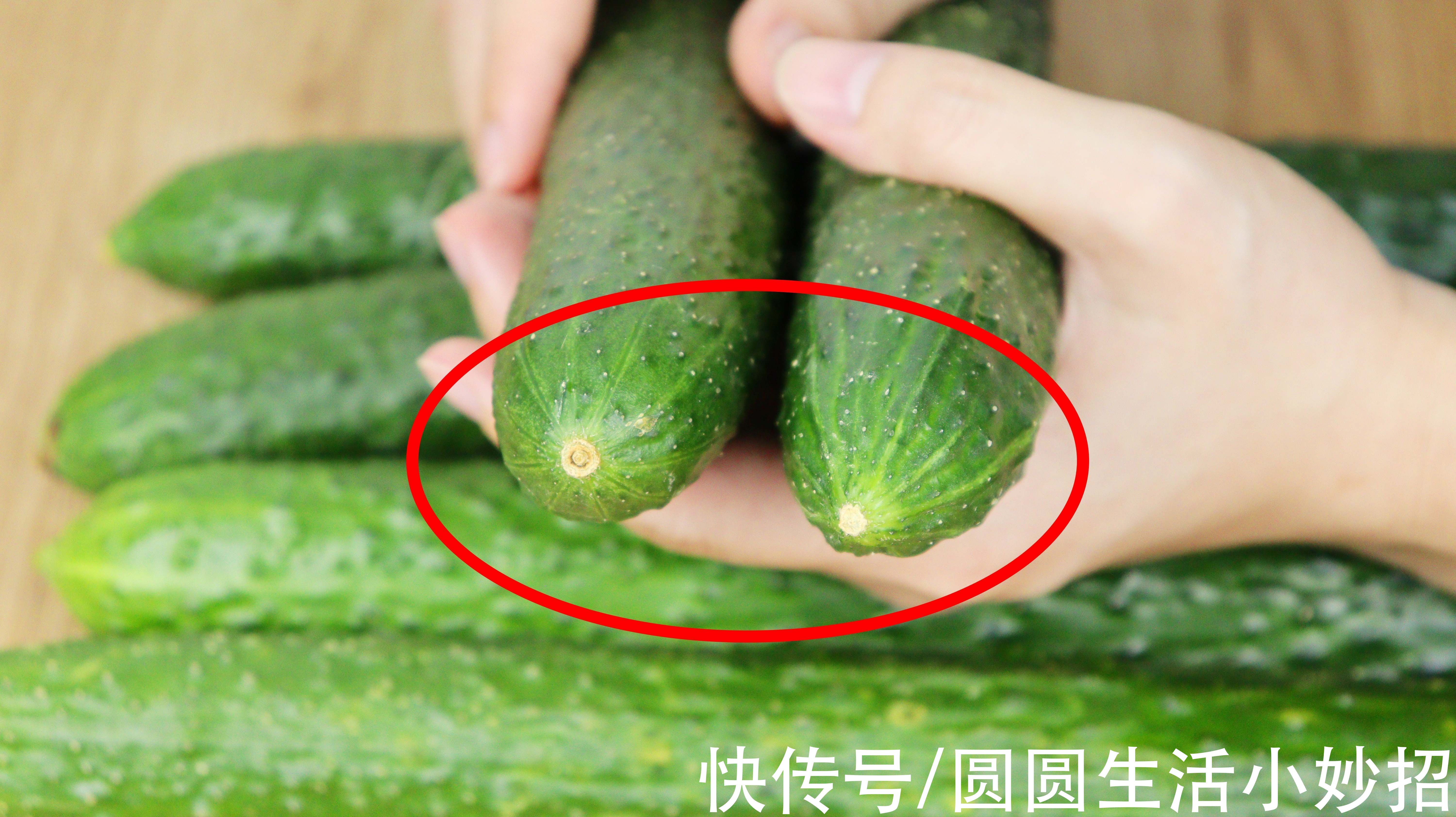 黄瓜|黄瓜打了激素如何辨别？老菜农：有这5点特征不要买，会吃坏肚子